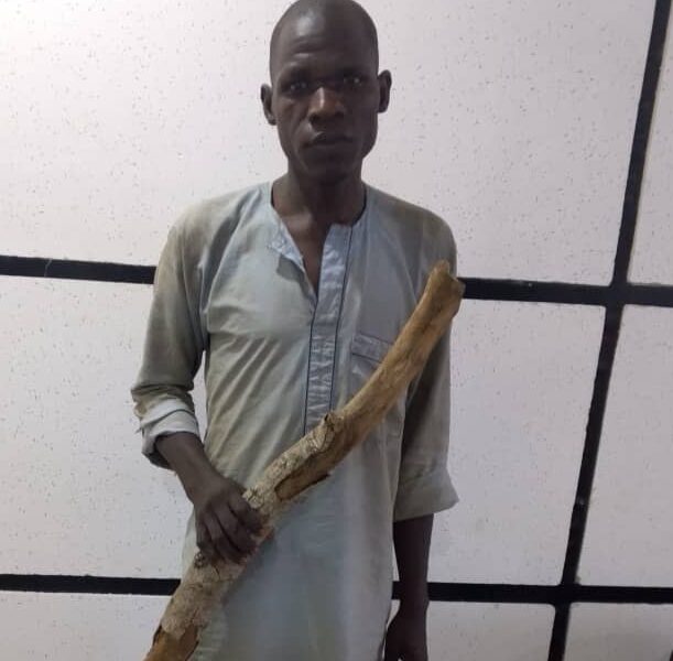 Jigawa tea vendor beats man to death over missing indomie bread - nigeria newspapers online